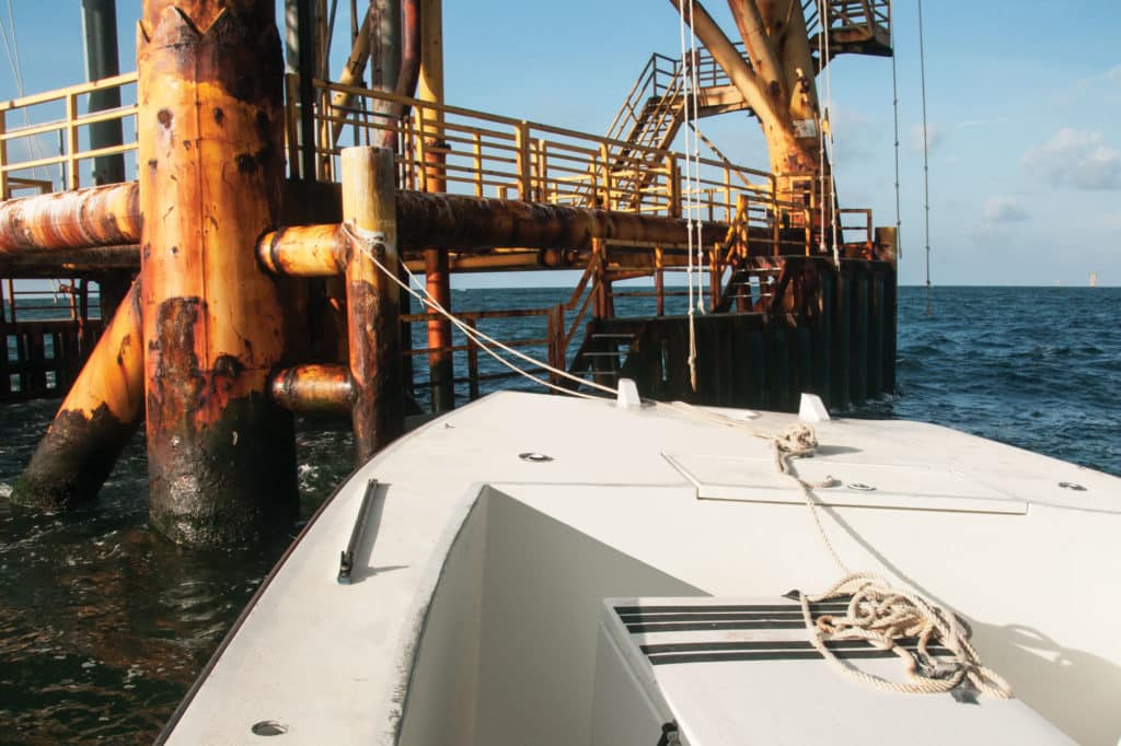 red snapper around oil rig