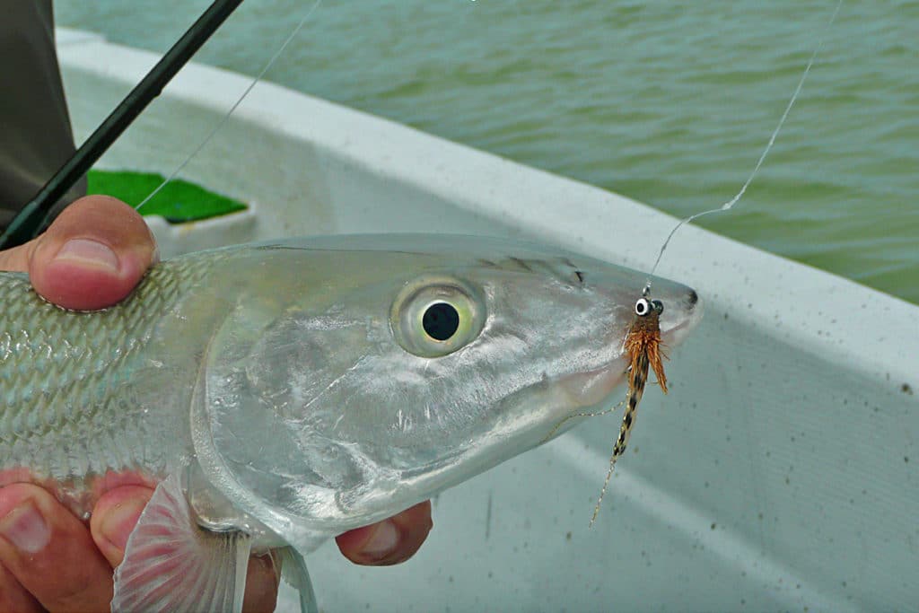 bonefish fly-fishing flies