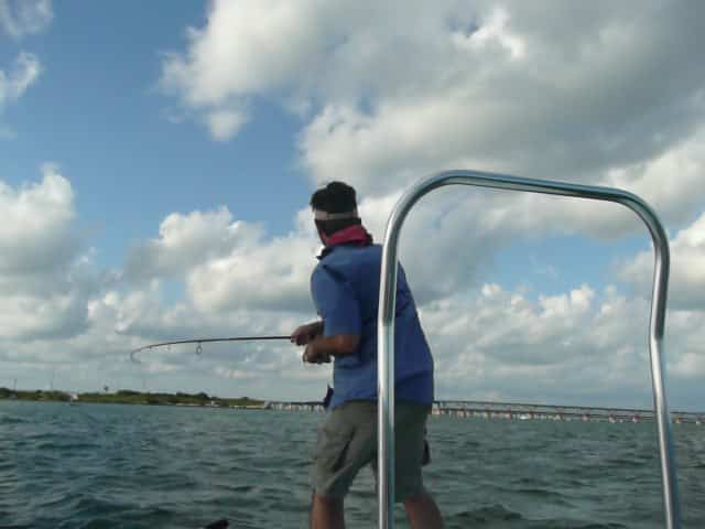 tarpon fishing in Florida