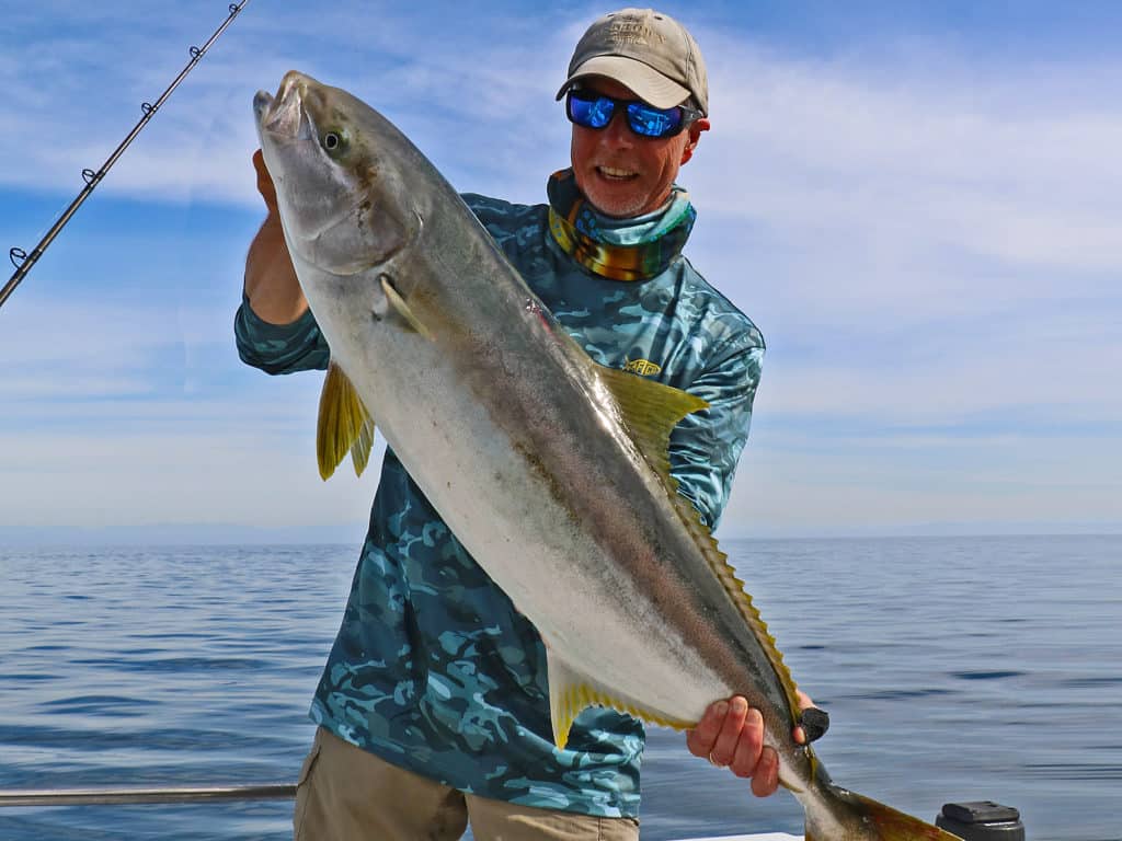 Strong Pacific yellowtail are readily available along San Diego's rocky coastline.