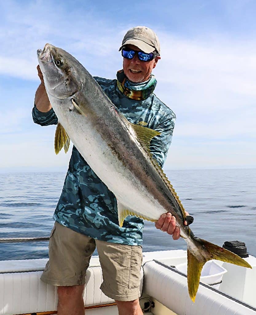 Pacific yellowtail caught off Southern California