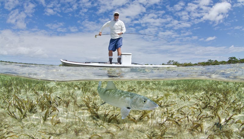 paddleboard-opener.jpg