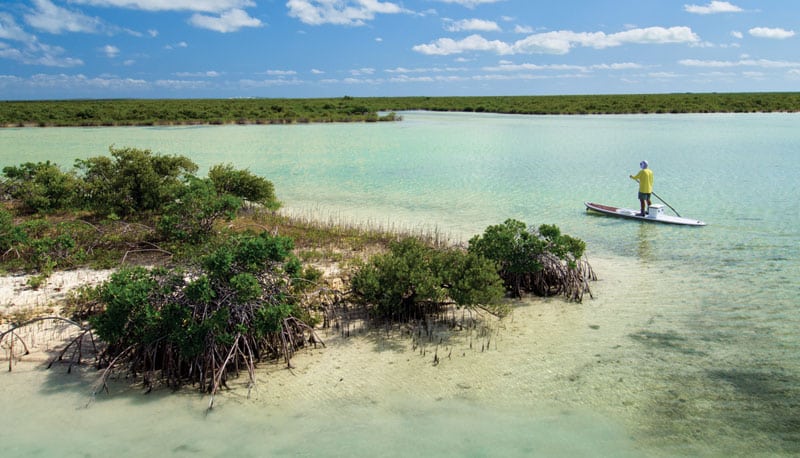 paddleboard-scenic.jpg