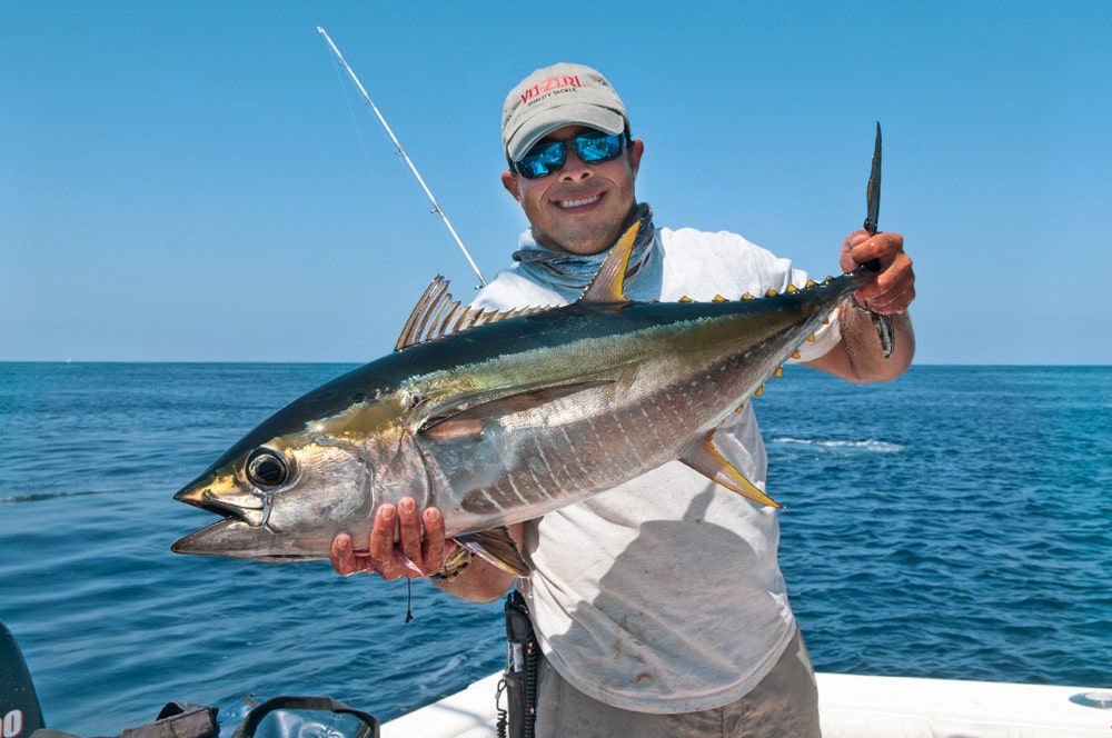 yellowfin tuna catch in Panama