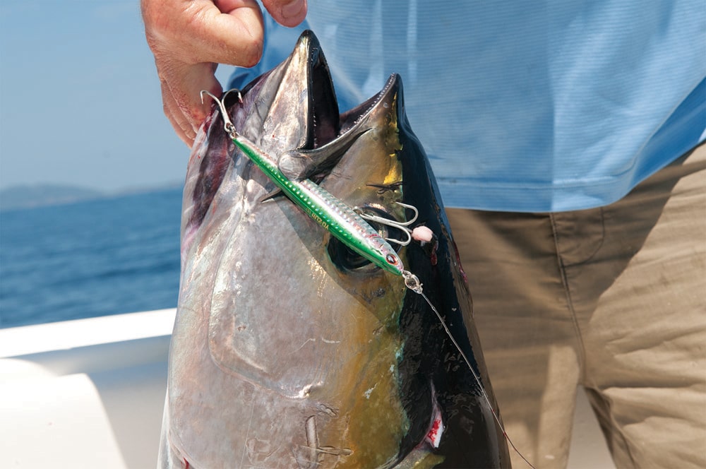 lures used to catch tuna