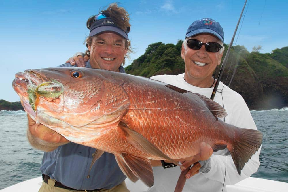 panama_snapper.jpg