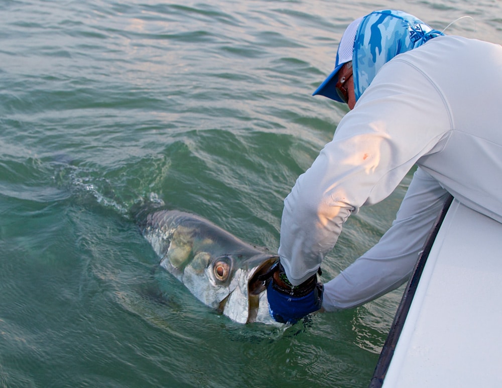 pat-ford-200-pound-tarpon-07.jpg