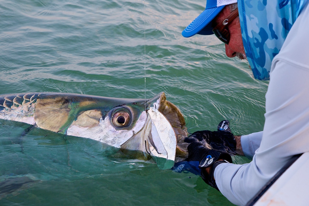 pat-ford-200-pound-tarpon-08.jpg