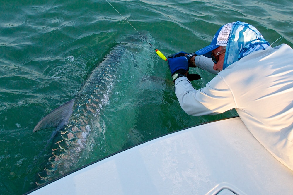 pat-ford-200-pound-tarpon-09.jpg