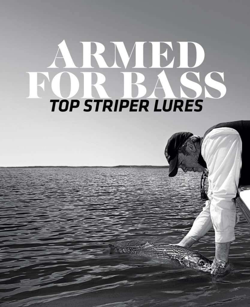 striped bass lures