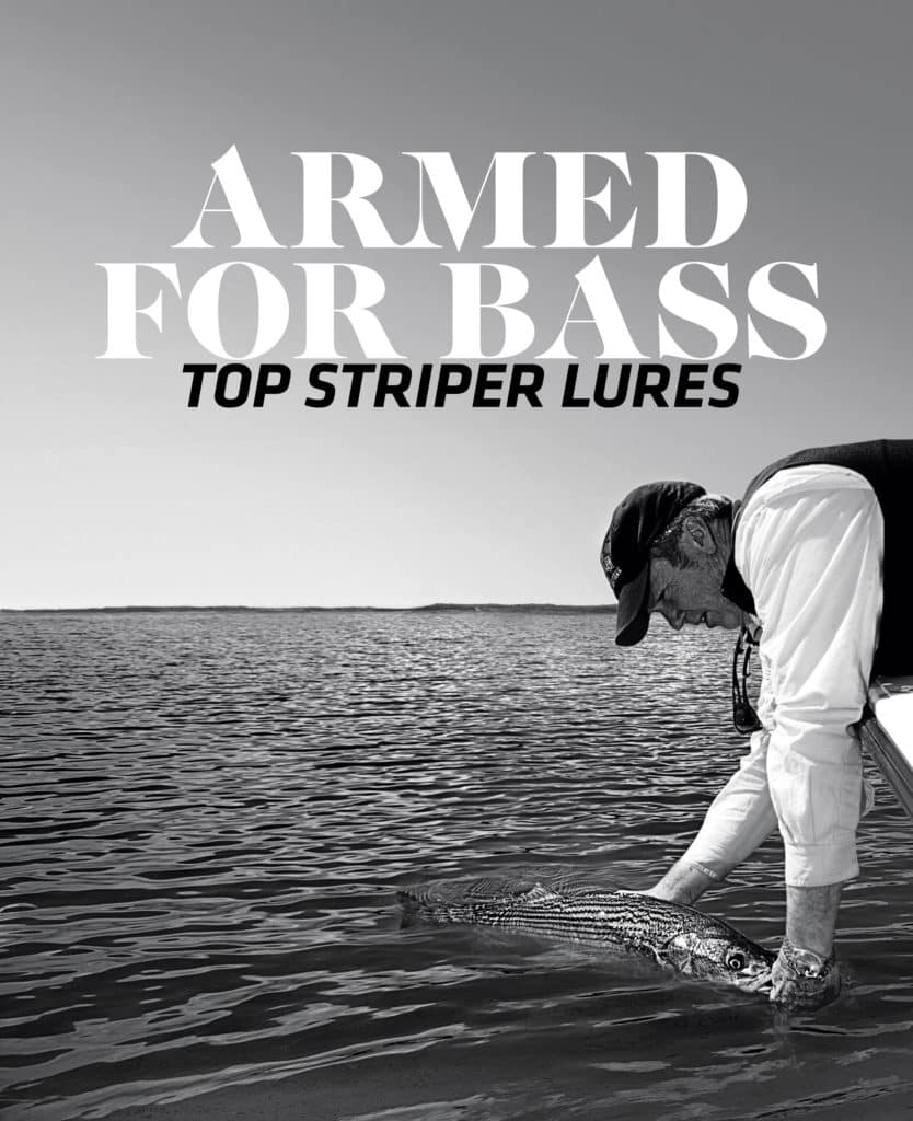 Best Striped Bass Lures