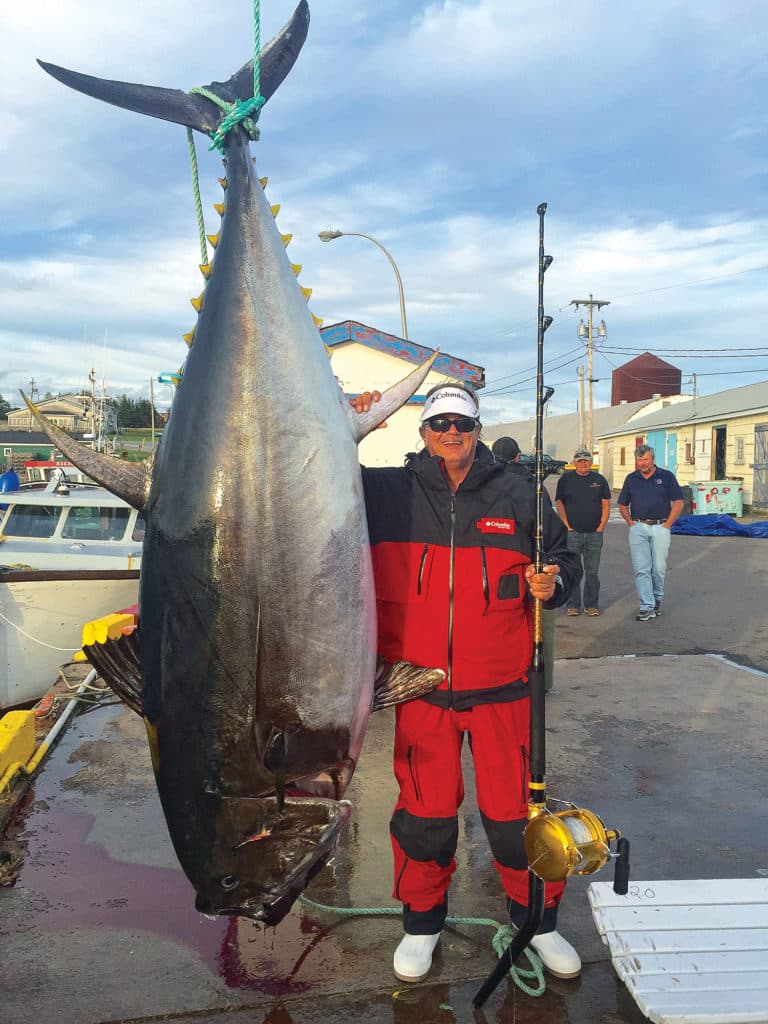 bluefin tuna catch