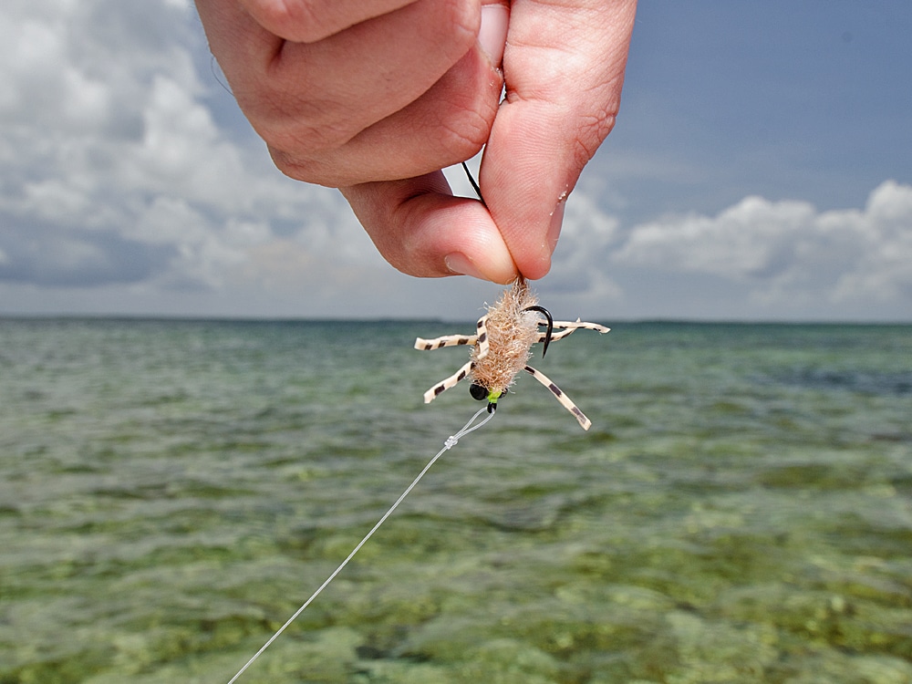 permit crab fly