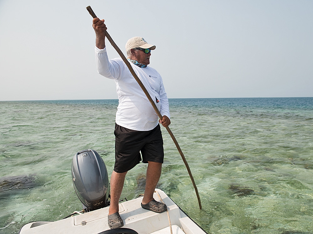 Belize permit guide poles his boat