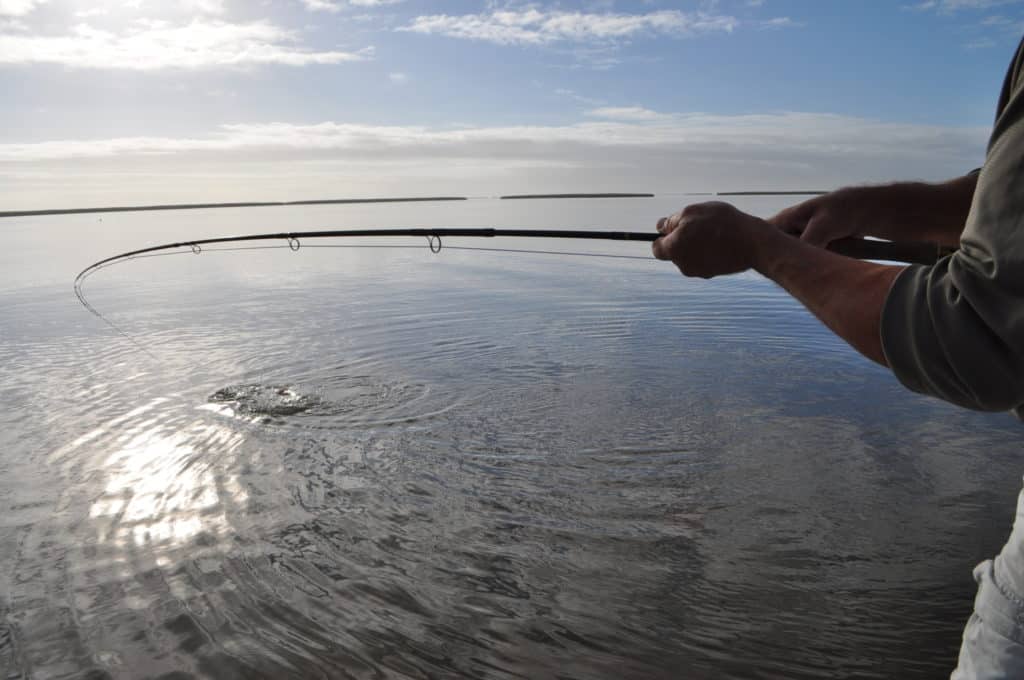 A 9-foot, 9-weight rod is a solid choice for long casts with bulky fly patterns.