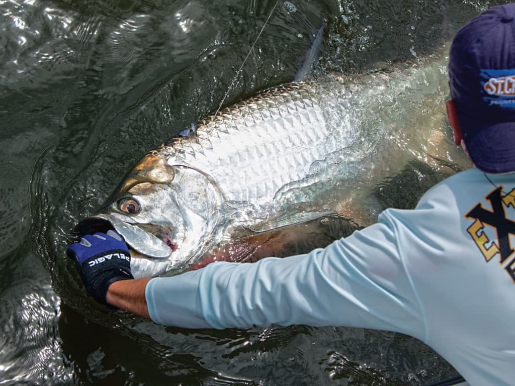 Whether at anchor, adrift, or underway with electric power, always present live baits in a natural fashion, even if it means fishing only two or three at a time.