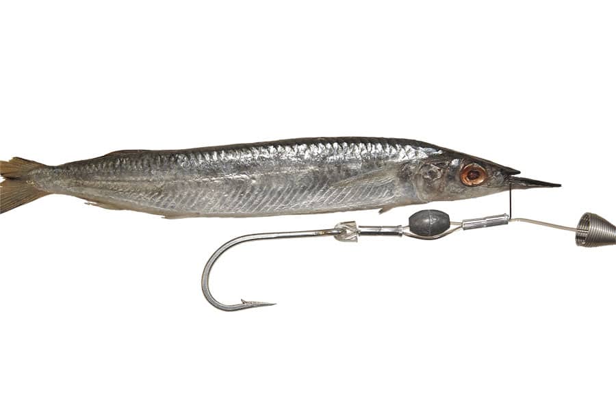 Ballyhoo Pin Rig  Salt Water Sportsman