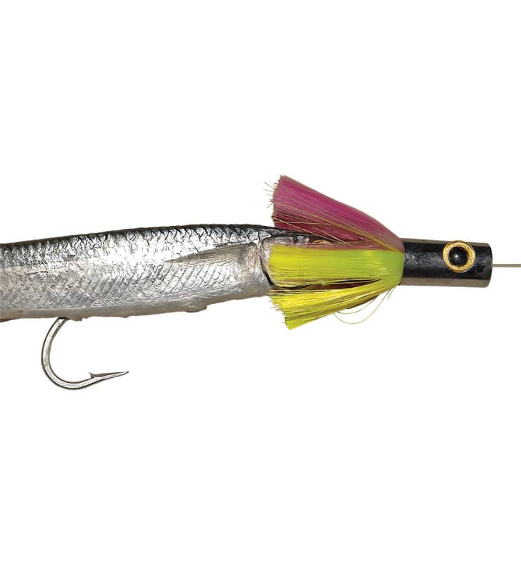 Ballyhoo Pin Rig  Salt Water Sportsman