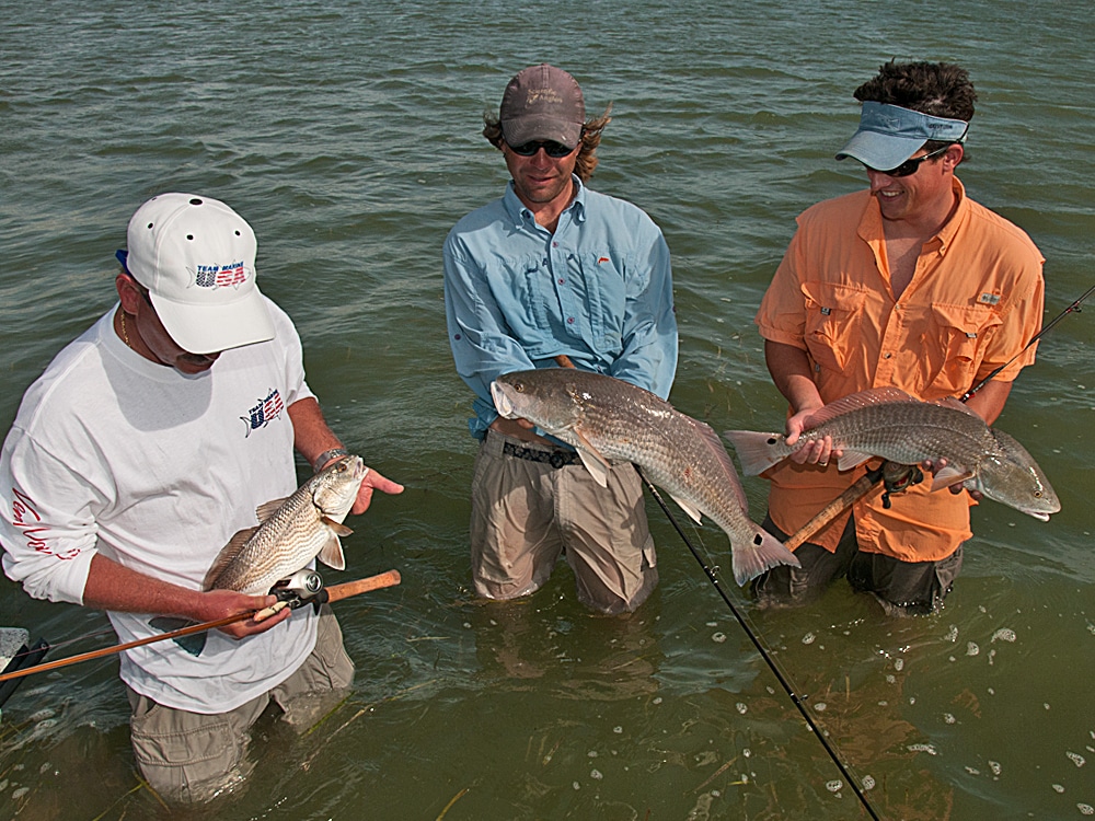 Three wading anglers with redfish caught on lures