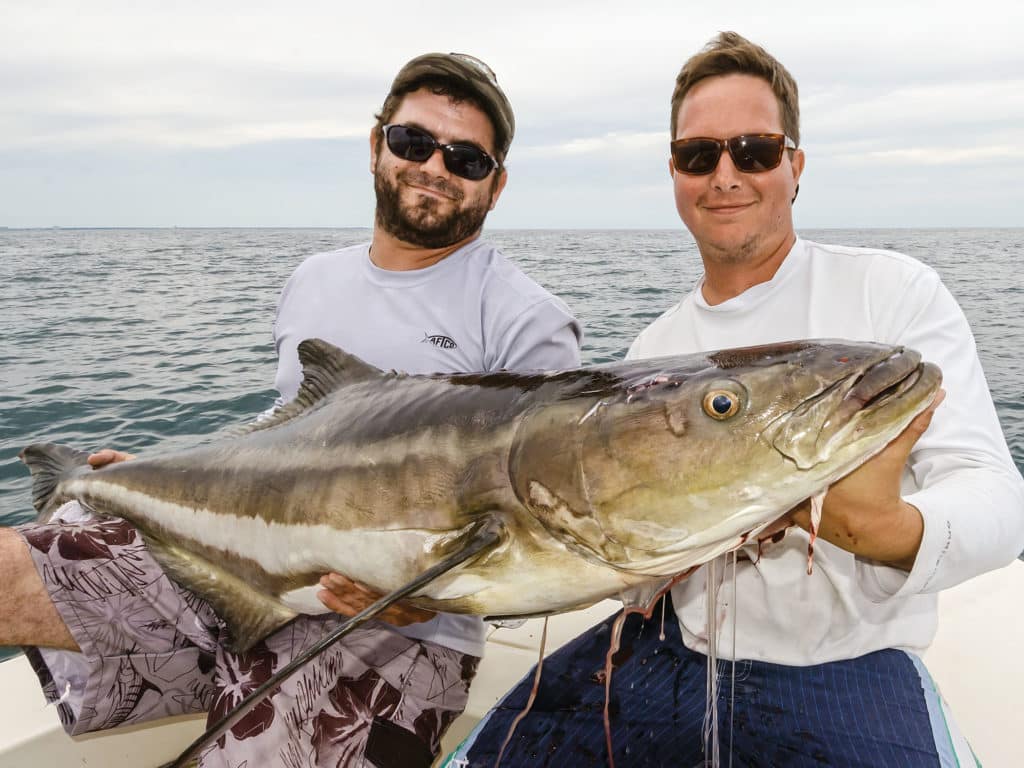 trolling plugs fast kingfish pro tips