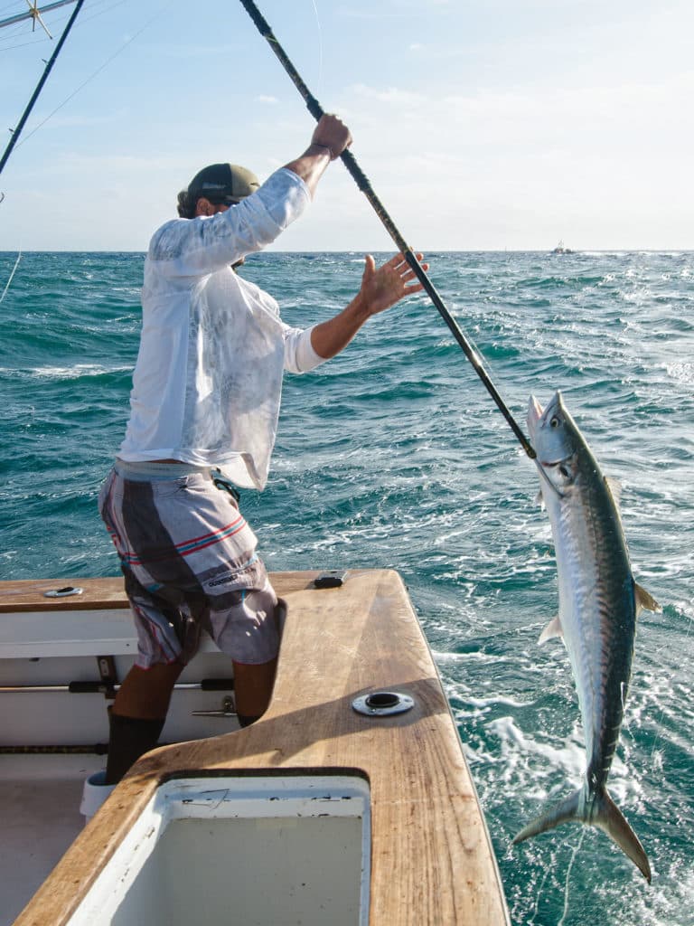 trolling plugs fast kingfish pro tips