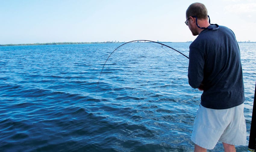 pompano-fly-fight.jpg