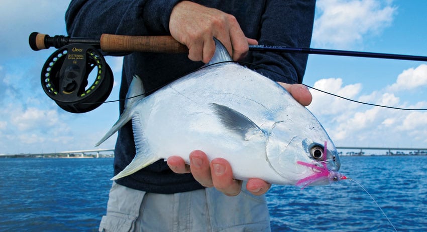 pompano-fly-fish.jpg