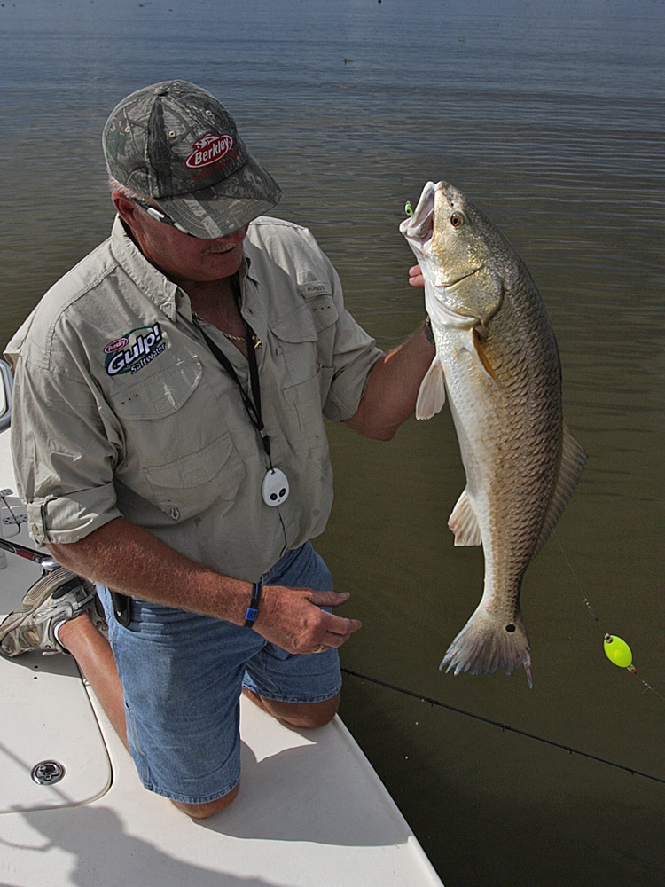 redfish in Texas waters.