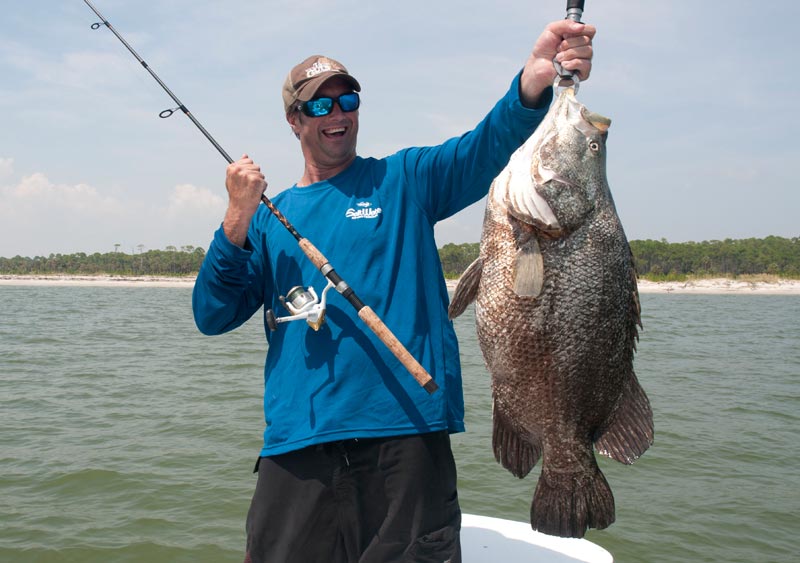 tripletail in Gulf of Mexico