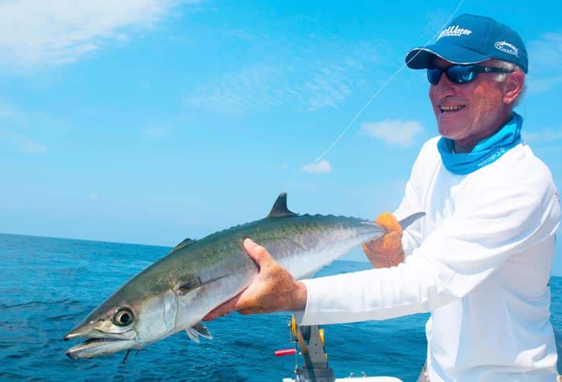 king mackerel in Gulf of Mexico