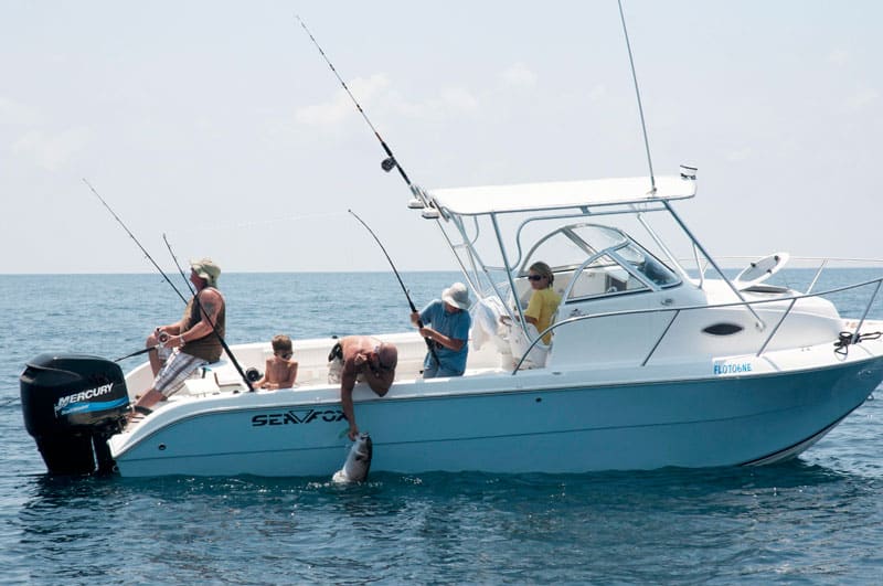 amberjack fishing in Gulf of Mexico