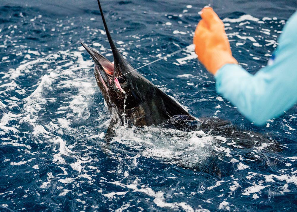 Fishing Costa Rica