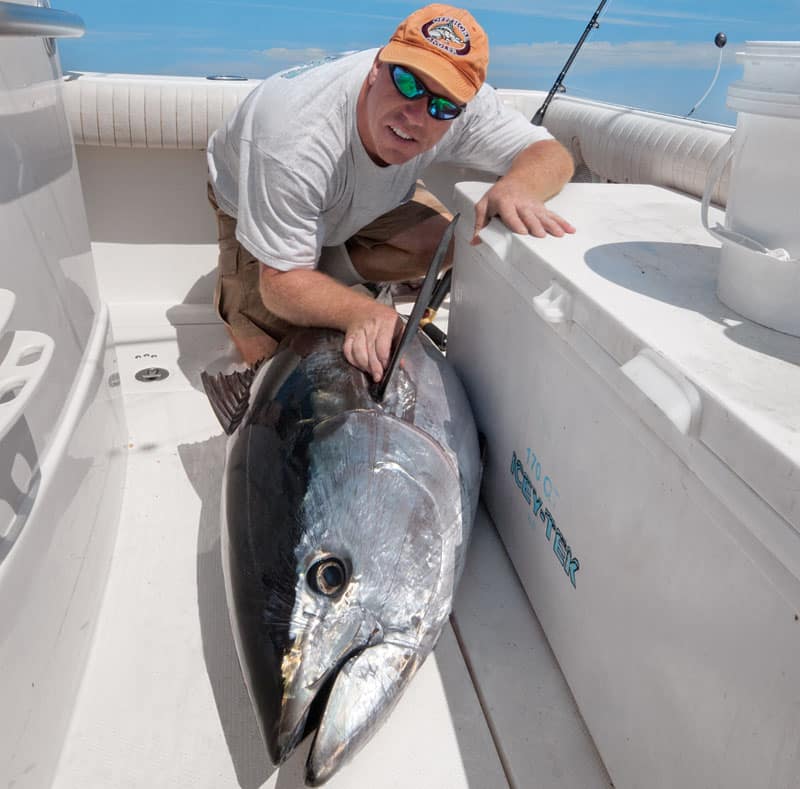 big tuna in boat