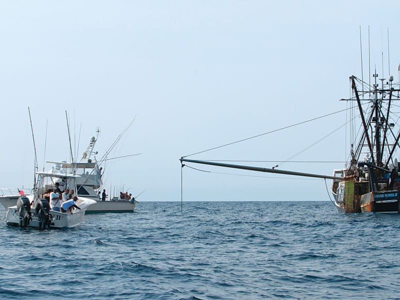 reading-signs-boat.jpg