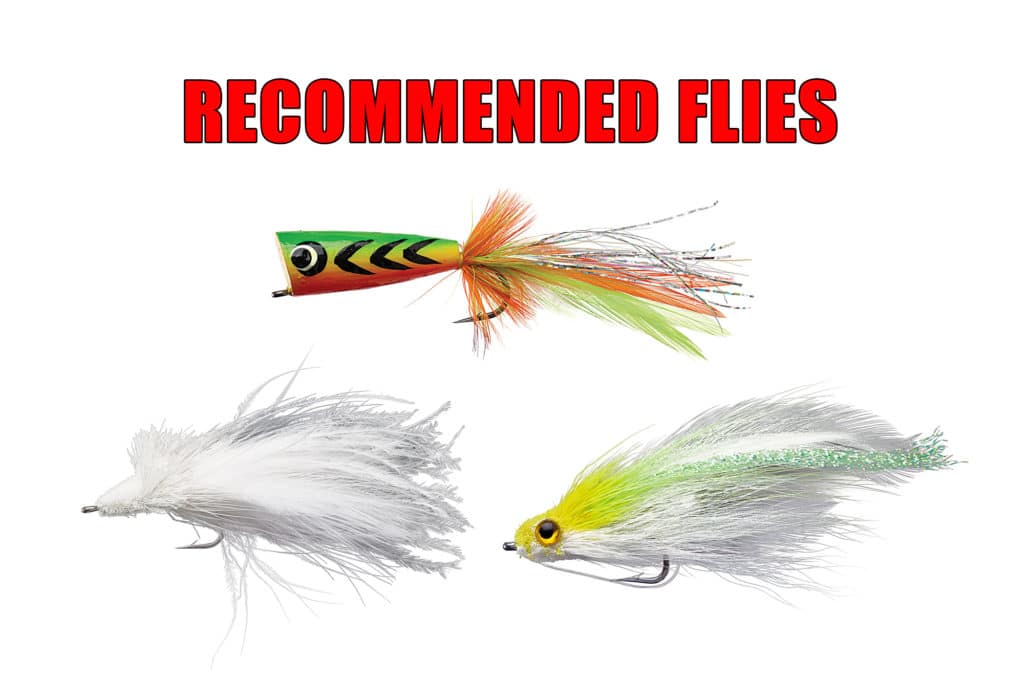 Red Pencil Popper Fly - Fishing Flies with Fish4Flies Worldwide