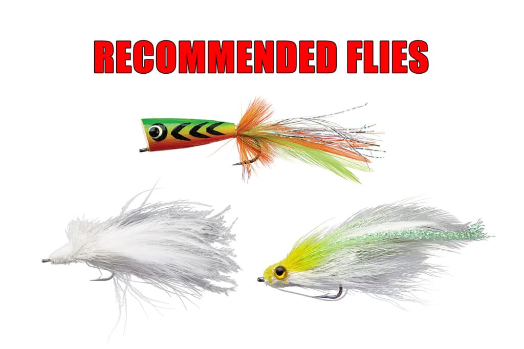 saltwater fishing flies