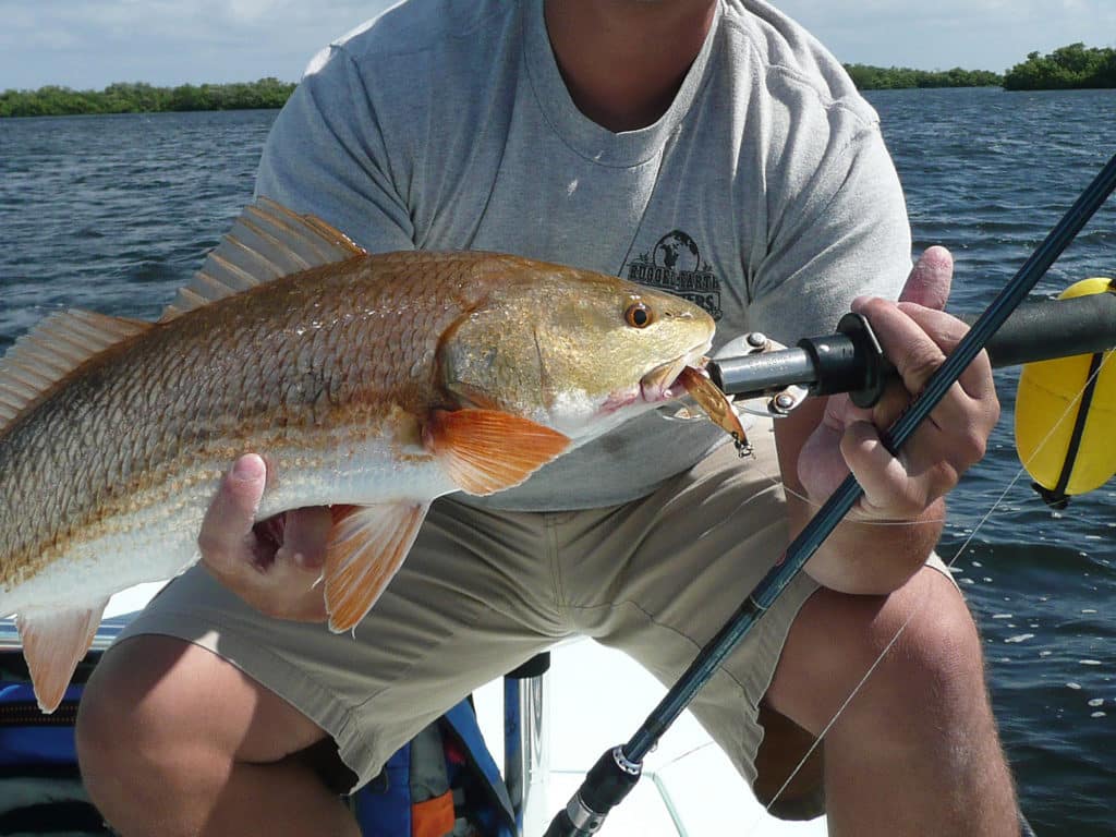 redfish fishing