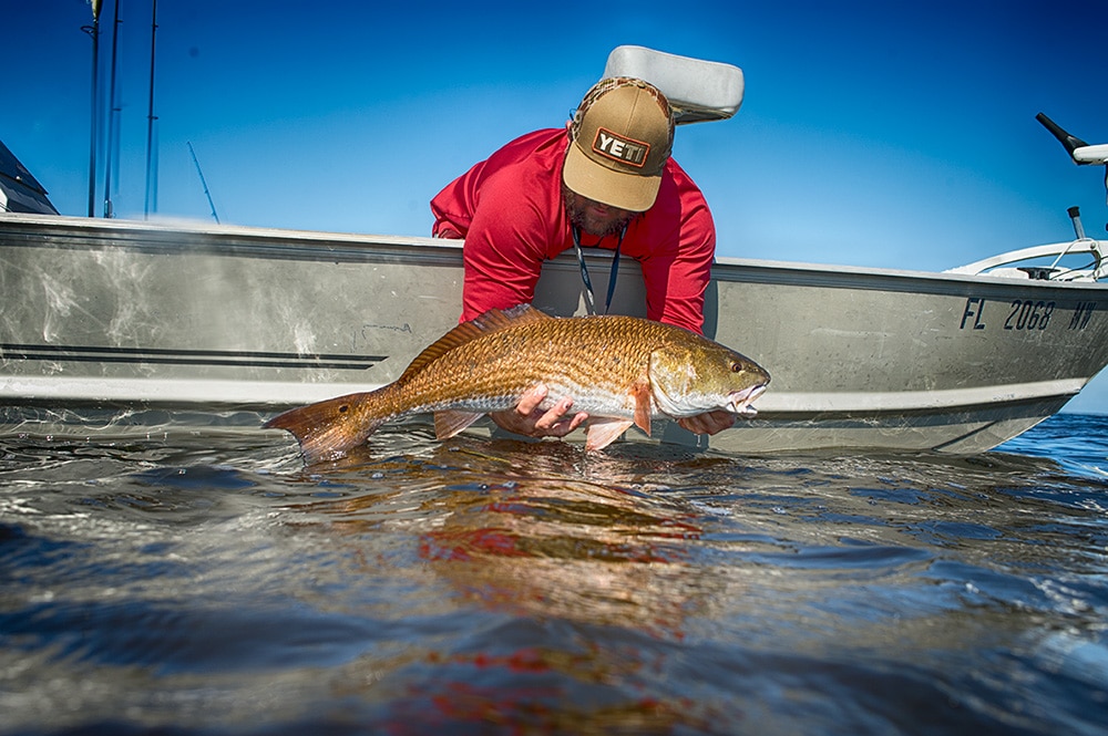 Large redfish caught in Georgia