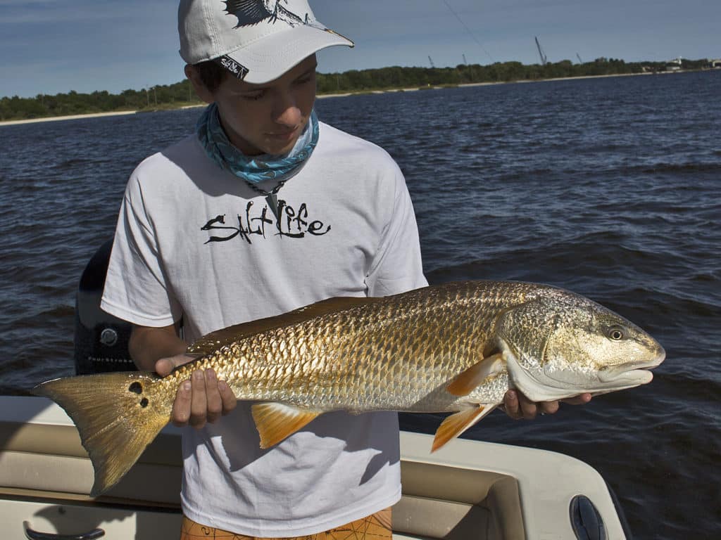 Redfish are among the many inshore species that gather and feed along hard edges.