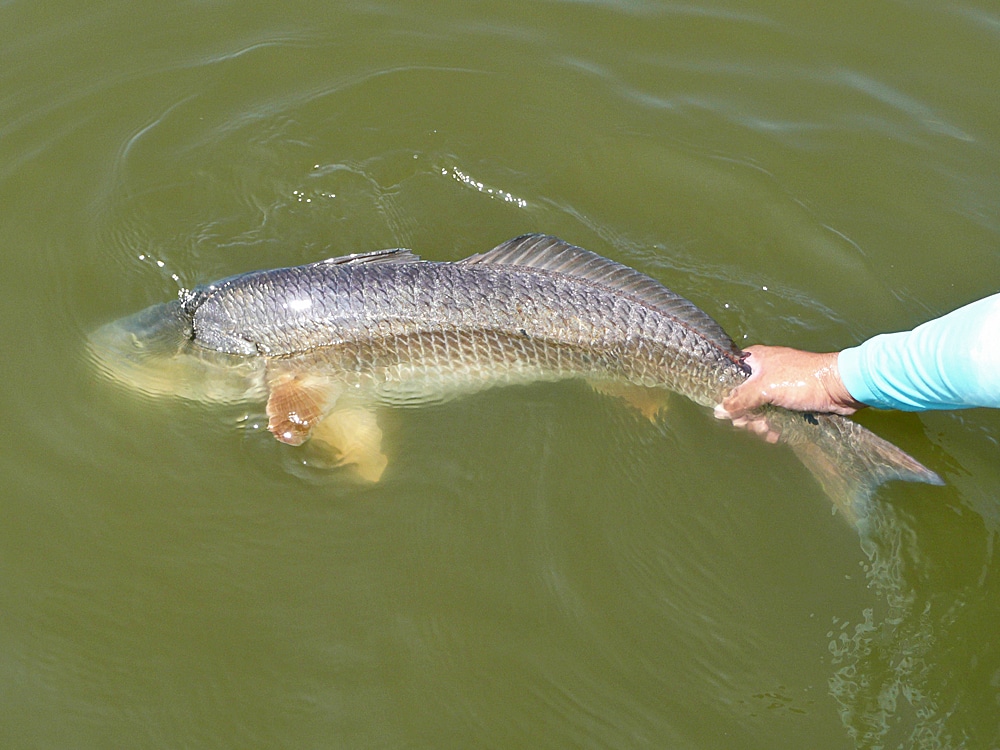 redfish fishing