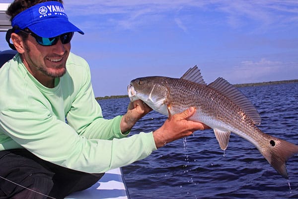 redfish profile