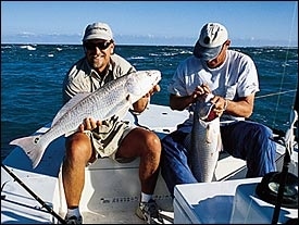 Seabstian Inlet redfish