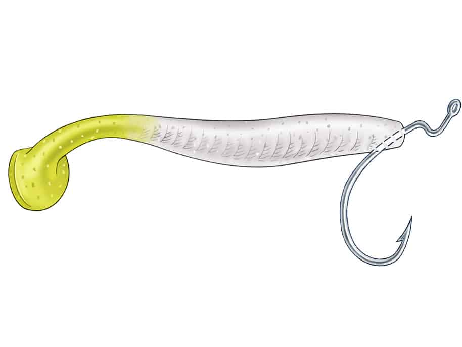 Rig a Weedless Plastic Bait