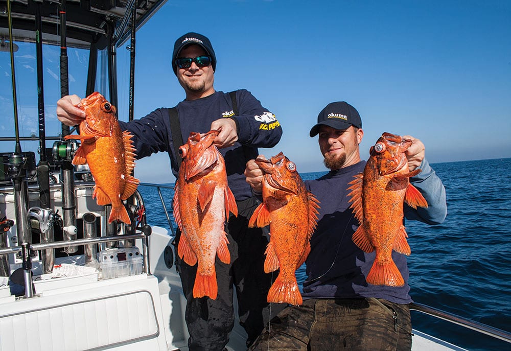 rockfish fishing off Mexico