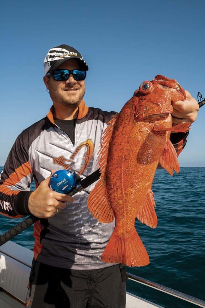 red rockfish in the winter