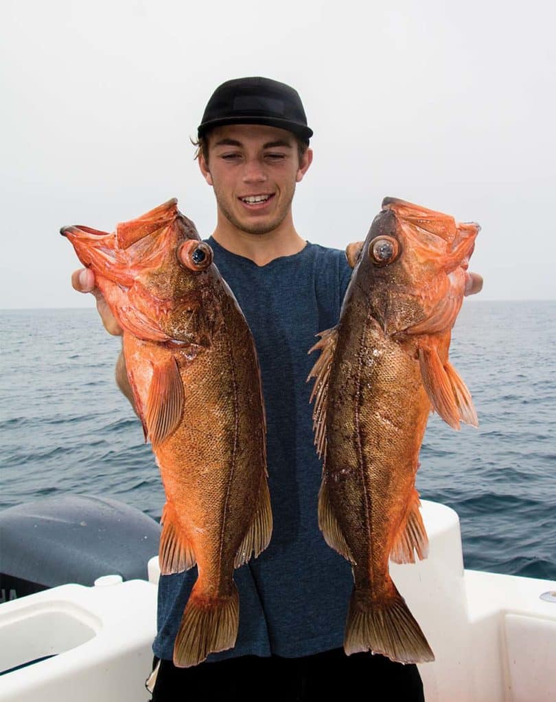 big rockfish catches