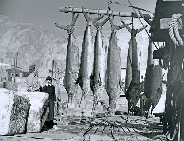 Rare Historical IGFA Fishing Photos - 18