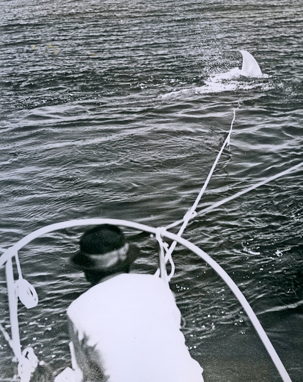 Rare Historical IGFA Fishing Photos - 17