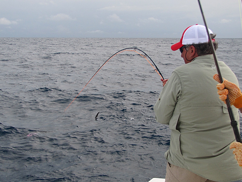 Fly angler battles a big sailfish.