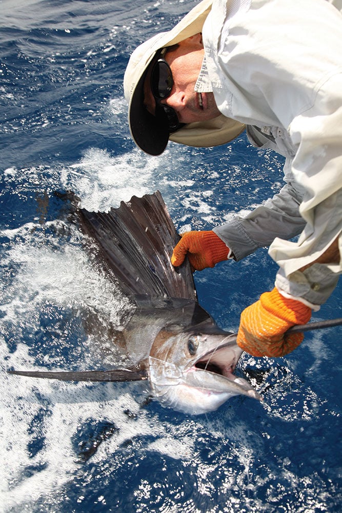 Tackle for Florida Sailfish